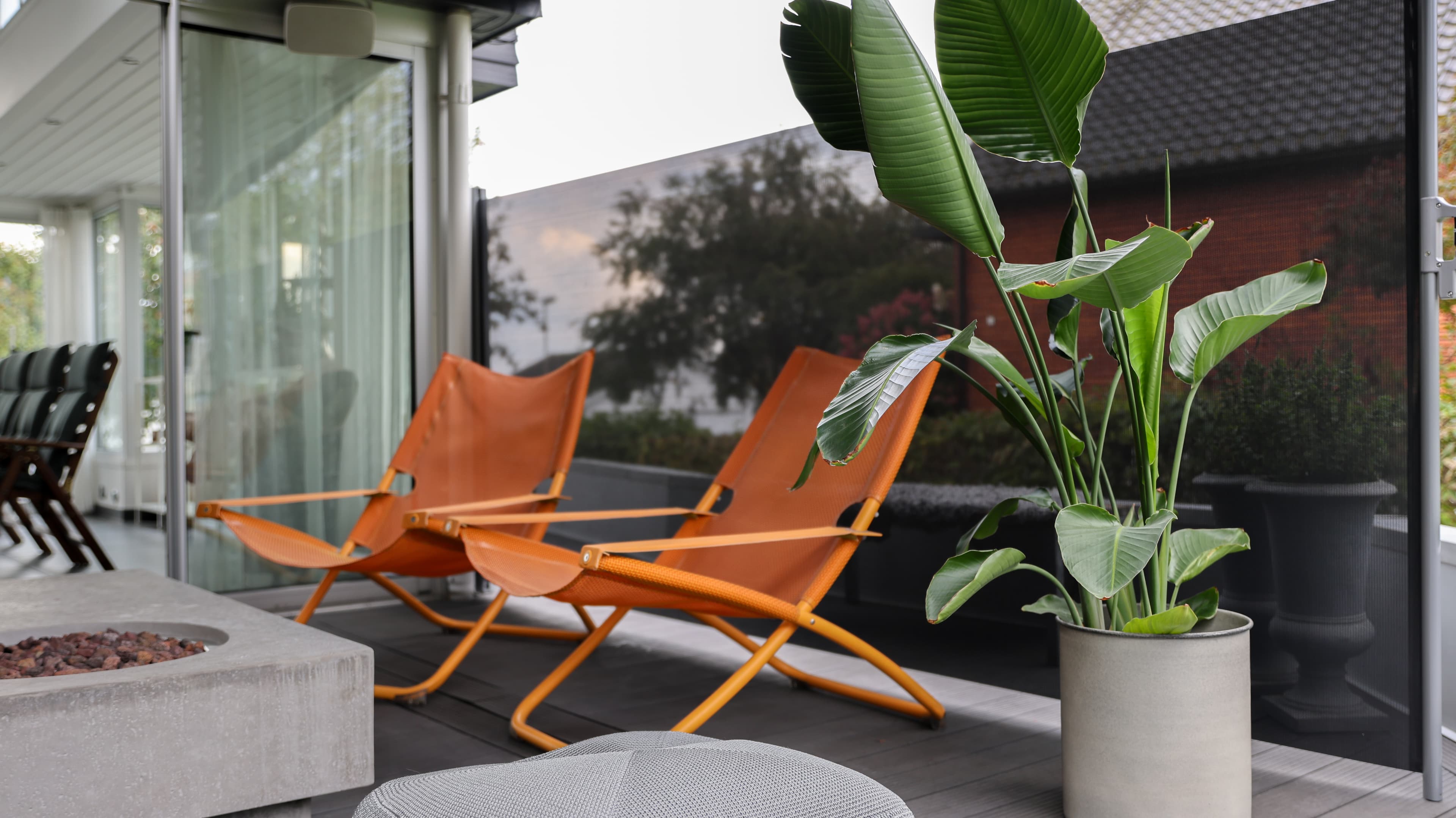 Hestra Björn — miljö